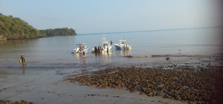 Fishing Madagascar Sport 2