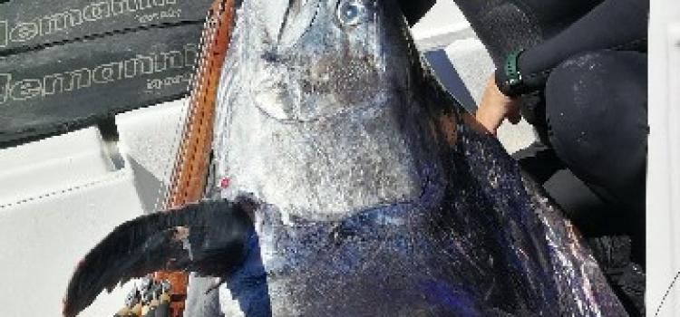Fishing Madagascar101