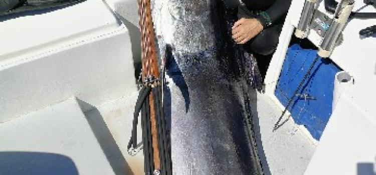 Fishing Madagascar106