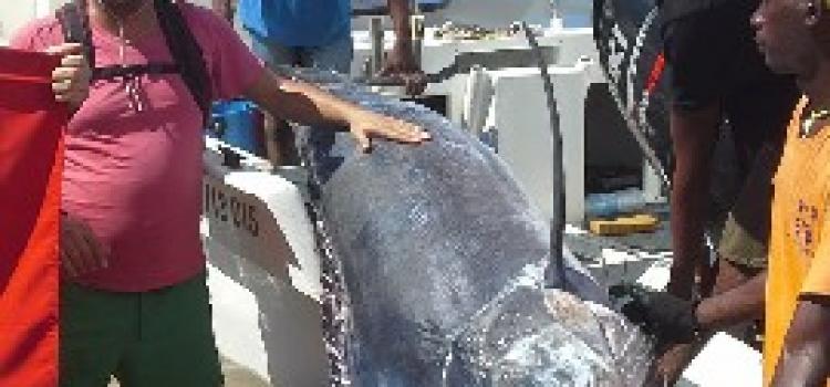 Fishing Madagascar119