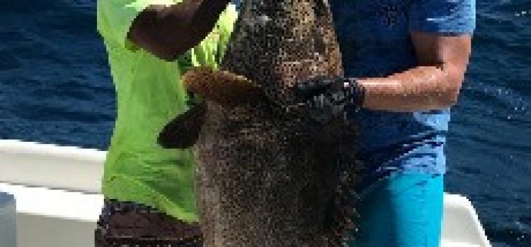 Fishing Madagascar147