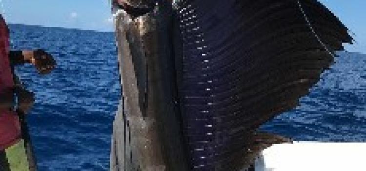 Fishing Madagascar148