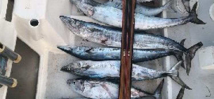 Fishing Madagascar153