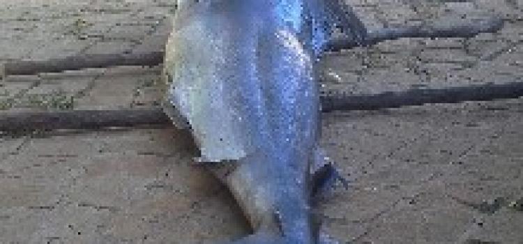 Fishing Madagascar160